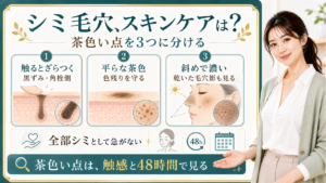 シミ毛穴をざらつき・平らな茶色・乾いた毛穴影で整理する美容解説ボード