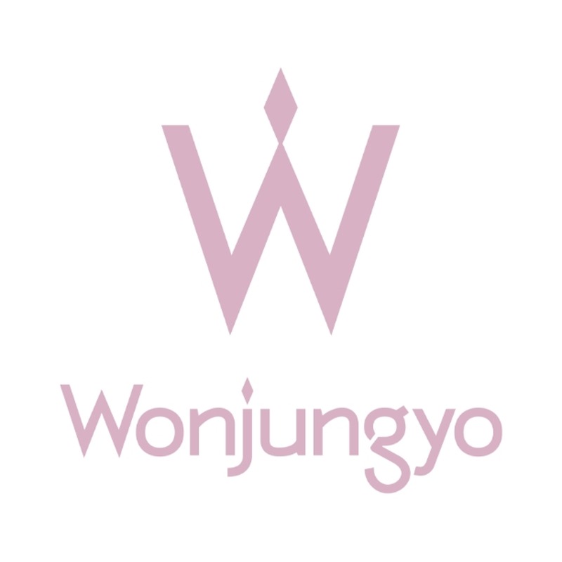 Wonjungyo モイストアップレディスキンパック DMの商品画像