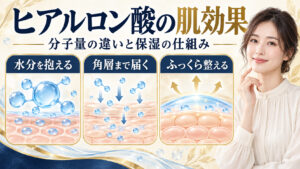 ヒアルロン酸の肌への効果と分子量の違いによる保湿の仕組みのアイキャッチ